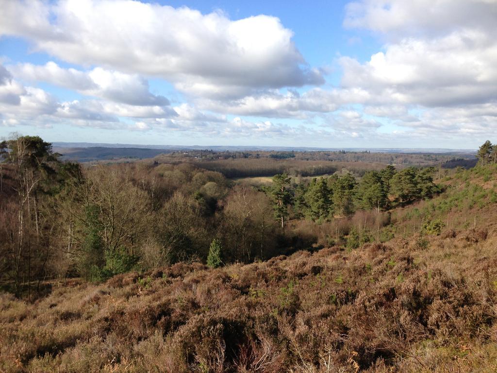 הוילה Hindhead The Old Cook'S House חדר תמונה